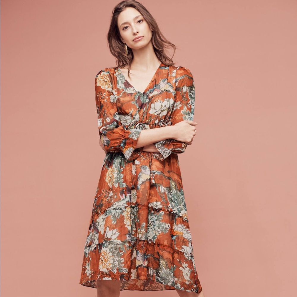 Hermant and Nandita Peasant Dress (Anthro)